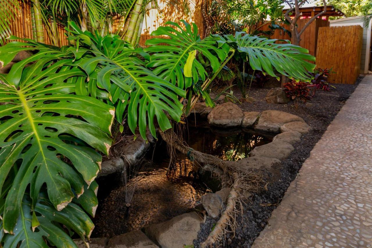 Studio With Mini Kitchen, Pool And Bbq, Pre-Renovation Summer Sale Kihei Exteriör bild