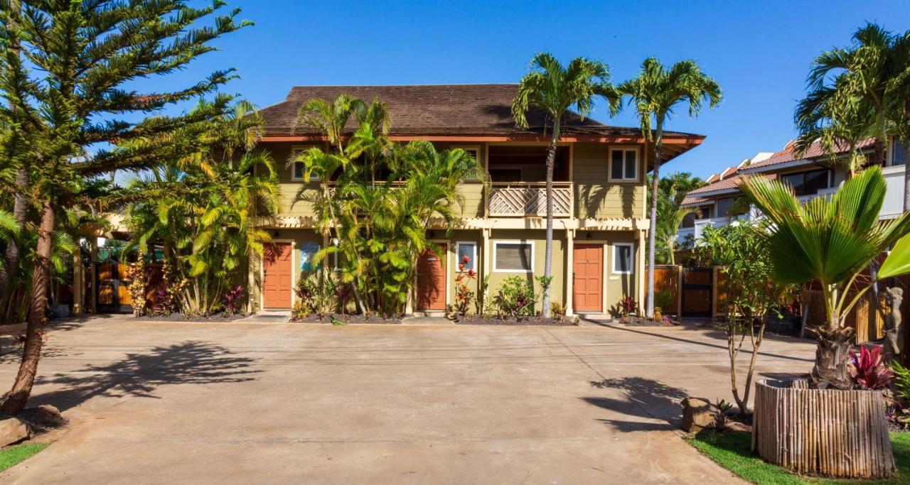 Studio With Mini Kitchen, Pool And Bbq, Pre-Renovation Summer Sale Kihei Exteriör bild